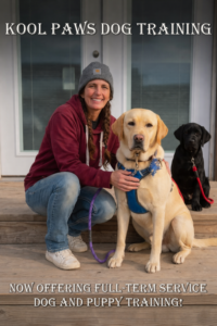 Kool Paws Dog Training trainer with a yellow Labrador and a black Labrador puppy on a porch